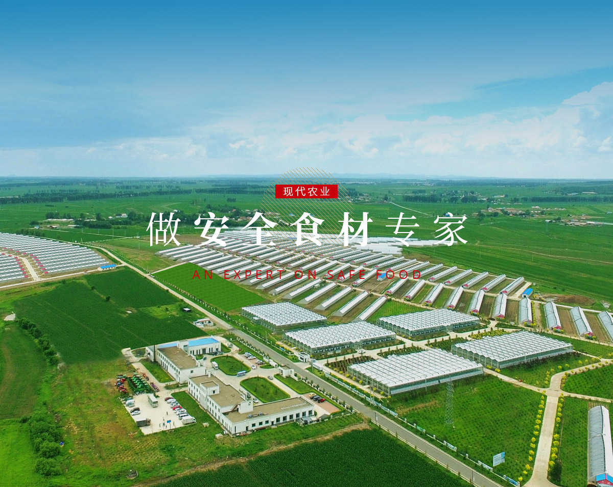 banner5_p9615812 尊龙Z6官方网站